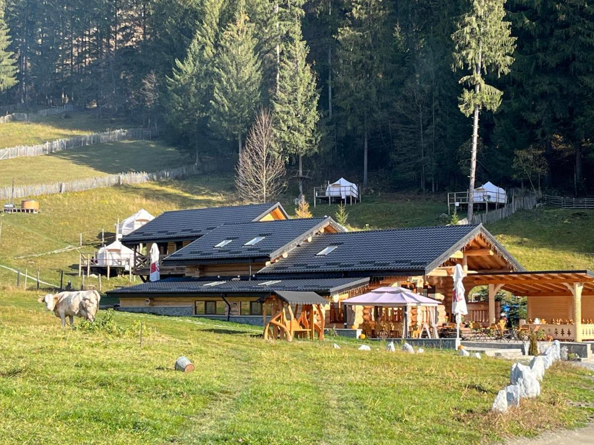 Pensiunea Mireasma Bucovinei Crucea Exterior foto