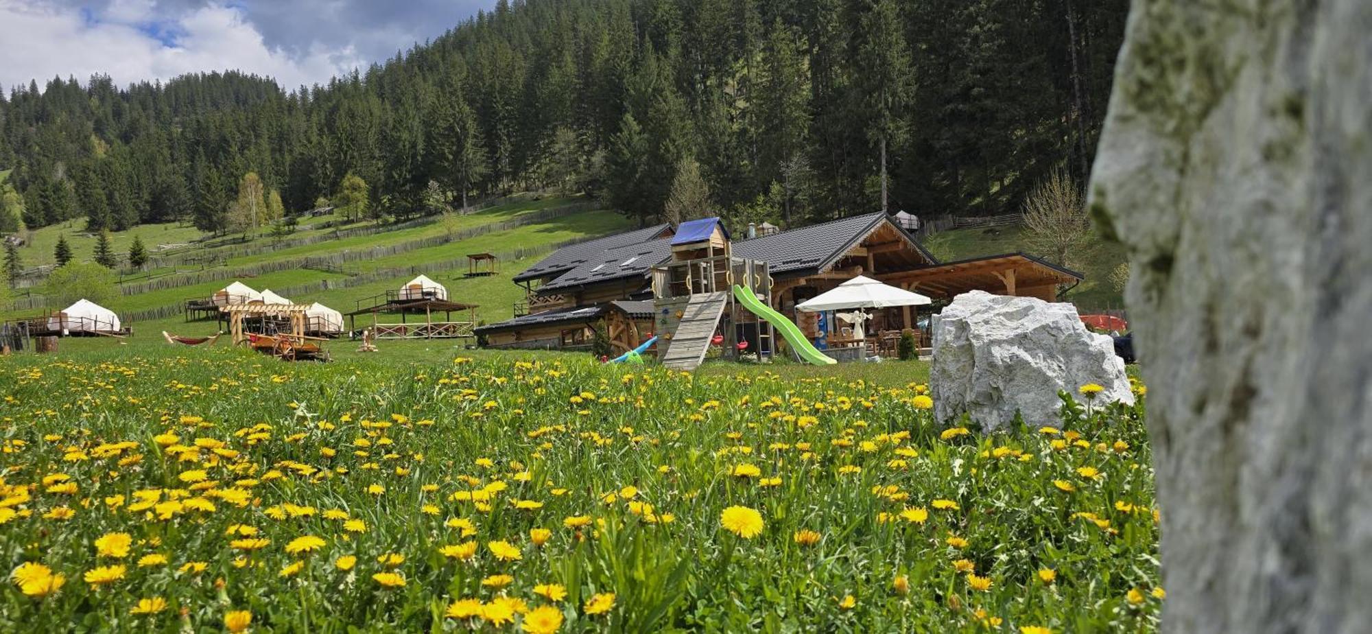 Pensiunea Mireasma Bucovinei Crucea Exterior foto